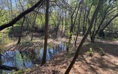 Проект за €255 000: Стартира възстановяването на езерата в Южния парк