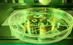 Учени създадоха пластмаса, която унищожава вирусите при допир