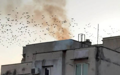 Пожар в блок вдигна на крак търновски пожарникари в неделния следобед