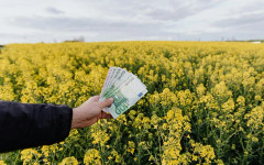 Монголия отчита ръст в износа на растителна продукция, 86% от него е за Китай