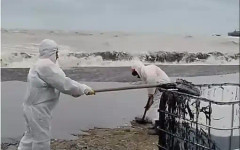 Черноморското крайбрежие на Русия ще е неизползваемо години наред