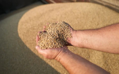 Ванс мисли, че Пентагона лъже за Иран. Украйна върви към дипломатическа война с Израел заради крадено зърно