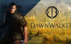 Новата RPG сензация излиза на 3 септември: The Blood of Dawnwalker показа 13 минути геймплей