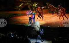Cirque du Soleil през очите на публиката в София: Това е пиршество за сетивата