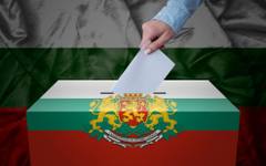 Какво пише в доклада на международната мисия за наблюдение на изборите за вота на 19 април