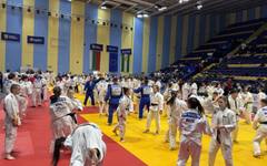 Организират квалификации за Балканското по джудо