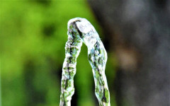 Без вода утре в части от два района на София