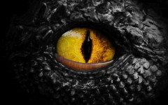 В Патагония откриха останки от неизвестен досега вид динозавър