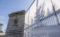 Деветнадесет страни от СТО, сред които и САЩ, се споразумяха да не налагат мита върху трансграничната електронна търговия